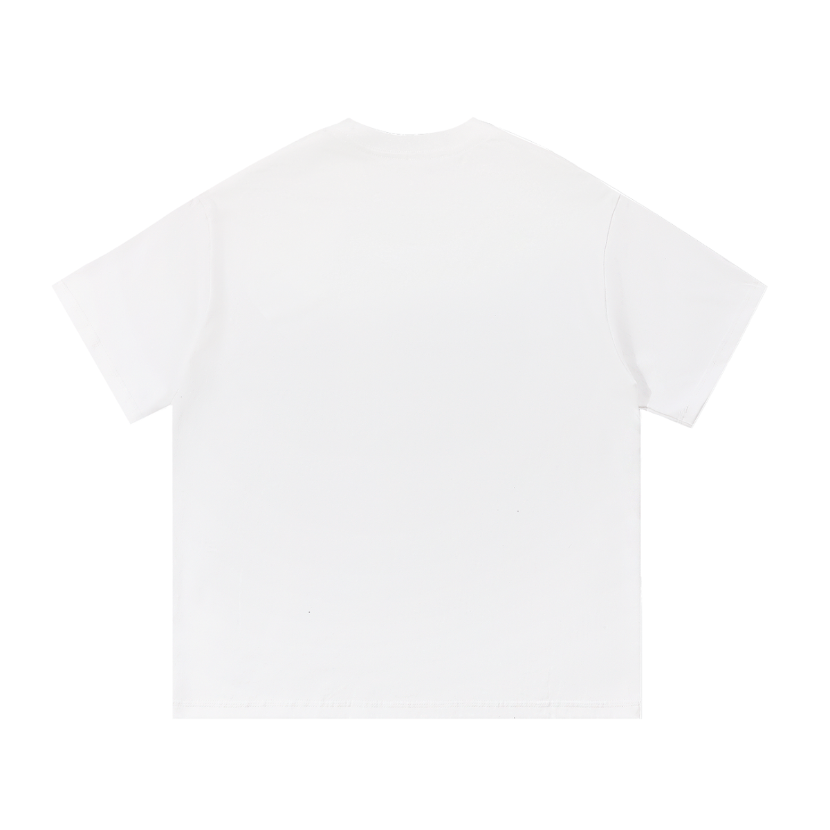 Back view of a plain white tee.