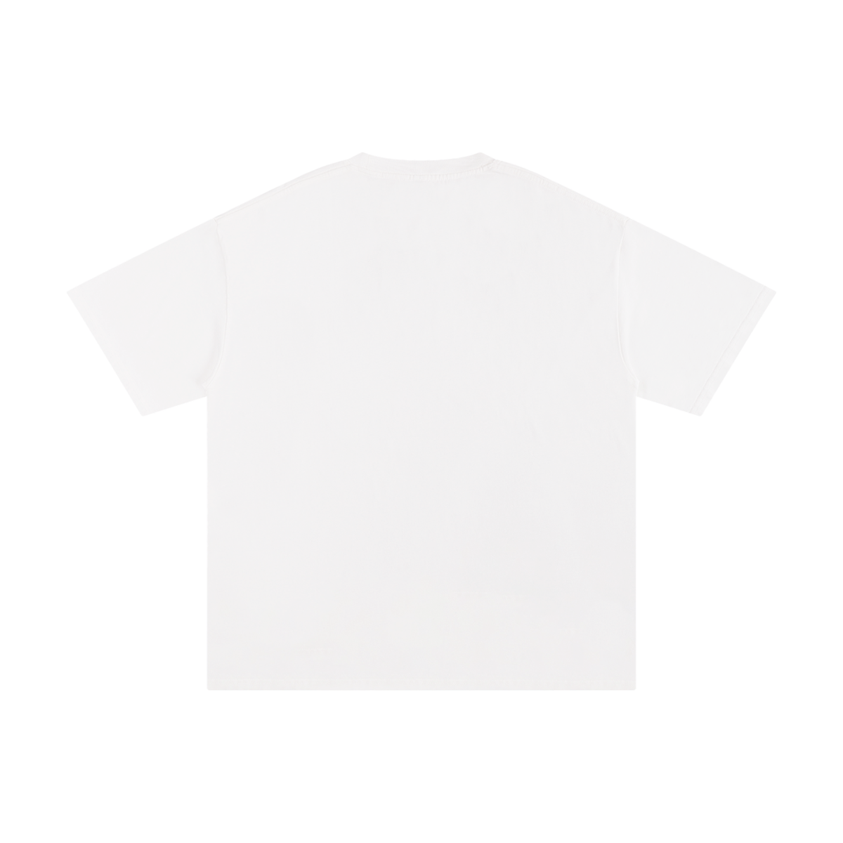 Back view of a plain white Unisex Pure Cotton T-Shirt.